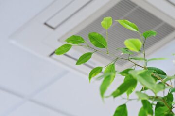 does air conditioner kill plants