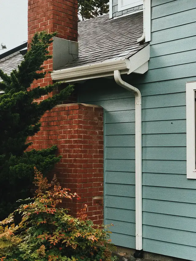 clean your gutter to reduce chance of insects coming into your house